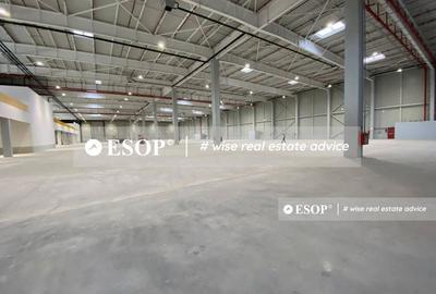 Spațiu comercial, de 3,000 mp, în Dragomirești-Deal - 6