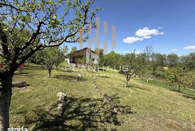 Casă cu 3 camere cu Teren 6790 Mp în Copalnic - 14