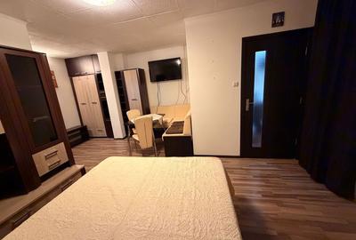 Garsonieră decomandată în Timișu de Jos - 4