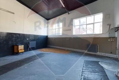 Spațiu industrial, de 350 mp, în Burdujeni - 3