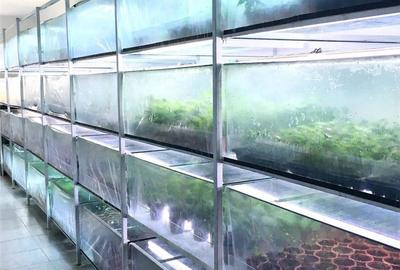 Spațiu comercial, de 1,300 mp, în Șintereag - 6