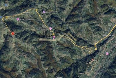 Teren Construcții intravilan de 4649 mp, în Moieciu - 7