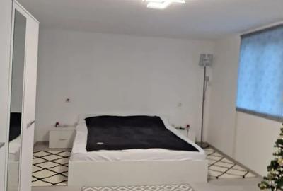 Casa de vanzare in Tormac Jud. Timis - 3