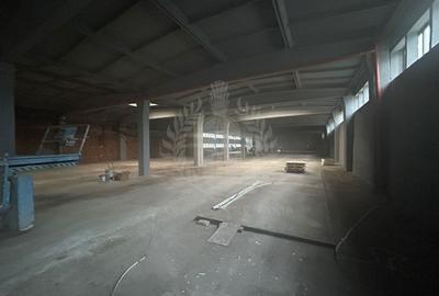 Spațiu industrial, în B-dul București - 5
