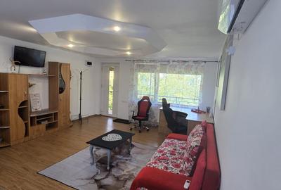 2 camere, în vila, la curte comuna, centrala, pet friendly, metrou Gorjului - 19