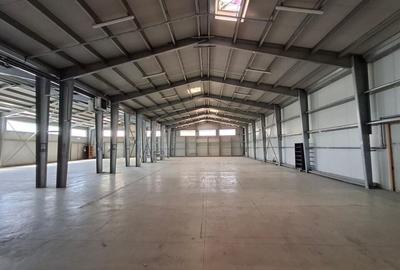 Spatiu industrial/comercial stradal pe soseaua Berceni - 6