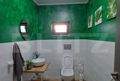 Casă cu 4 camere cu Teren 1400 Mp în Mihai Viteazu - 14