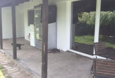Casă cu 4 camere cu Teren 1781 Mp în Checea - 5