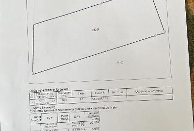 Proprietar Teren 960mp Balotesti Tarina Veche - 4
