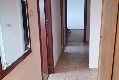 Apartament de 3 camere Giurgiului - Luica - 2