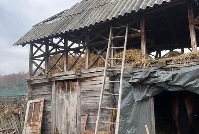 Teren de 518 mp, în Pădurețu - 3