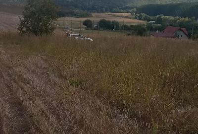 Teren de 1500 mp, în Telița - 6