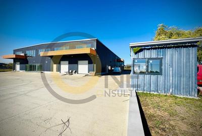 Spațiu industrial, de 2,600 mp, în Balotești - 9