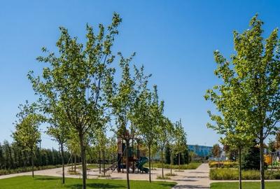 Apartament cu 2 camere decomandat în Militari - 13