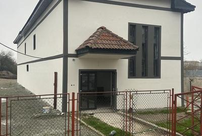 Spațiu comercial, de 10,000 mp, în Schela Cladovei - 7