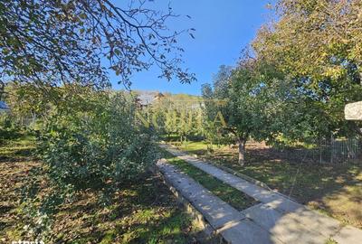 Casă cu 4 camere în Borzești - 4