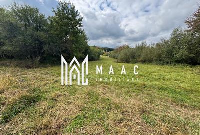 Teren agricol intravilan de 4717 mp, în Sadu - 1