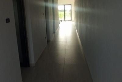Casă cu 3 camere cu Teren 1100 Mp în Vladimirescu - 2