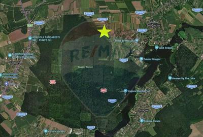 Teren de 450 mp, în Gruiu - 4