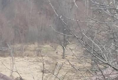 Teren de vanzare in Slanic Moldova - 5