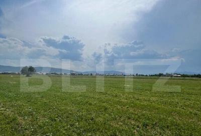 Teren extravilan,5200 mp.Vicovu de Sus - 2