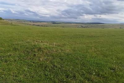 Teren de 42000 mp, în Central