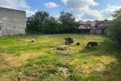 Spațiu comercial, în Dacia - 8