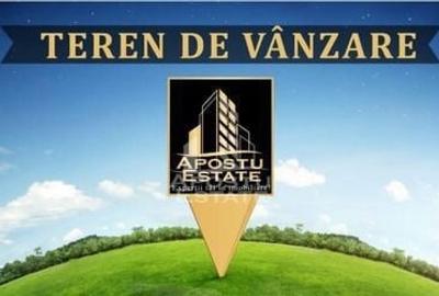 Teren de 3200 mp, în Cuvin - 1