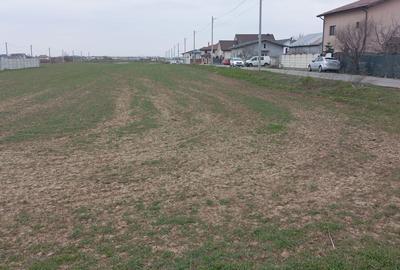 Teren Construcții intravilan de 11700 mp, în Dragomirești-Deal - 3