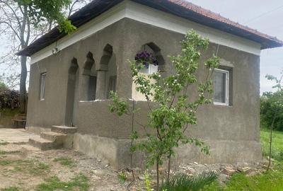 Casă cu 2 camere în Jiana - 3
