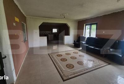 Casă cu 3 camere cu Teren 2918 Mp în Doba - 13