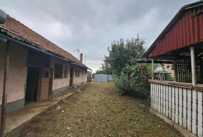 RECO  casa batraneasca Salard - 4