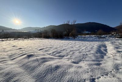 Spațiu comercial, în Nucșoara - 6