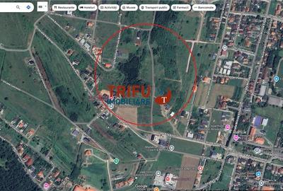 Teren de Vânzare Panoramic în Alba Iulia  Proiect Autorizat! - 4