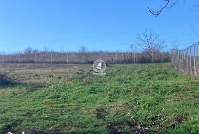 Teren de 2500 mp, în Miroslava
