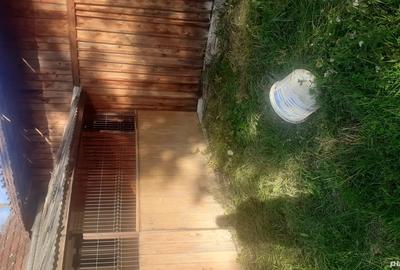 Casa la ?ara l-ai gradina de vanzare - 5