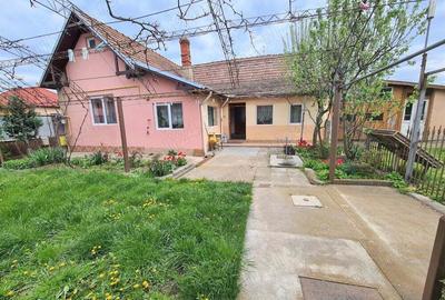 P.F. Vand casa in Floresti - 7