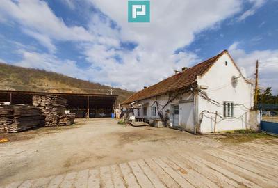 Fabrica de prelucrare a lemnului ?i palului - 15