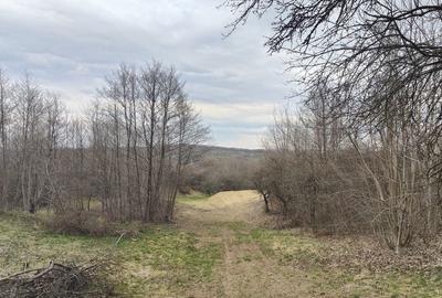 Spațiu comercial, în Sibiel - 6