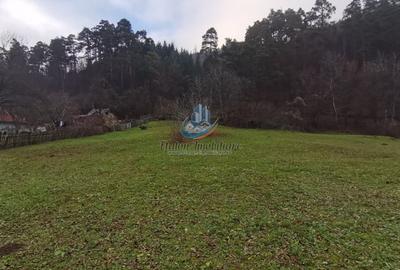 Teren Construcții de 3560 mp, în Periferie - 12