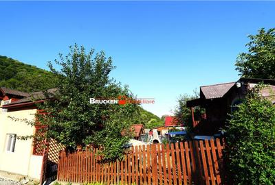 LOCUINTA TA DE VIS IN PADUREA NEAGRA - 2