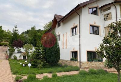 Domeniu de vanzare, Baile Govora teren 20875mp - 2