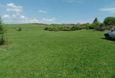 Teren extravilan 2.500 mp - Cisnadie - ideal pentru dezvoltare - Parcelabil - 3