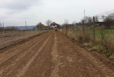 Teren de 8071 mp, în Lipănești - 15