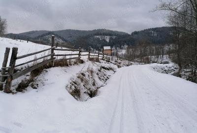 Teren 12.066 mp intravilan de vanzare in Bucovina Comuna Breaza Zona Breaza De sus - 6