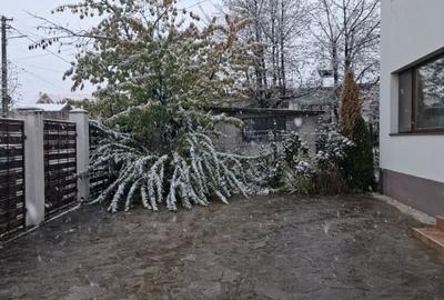Vila 5 camere, 500 mp teren , Cocosesti Prahova - 4