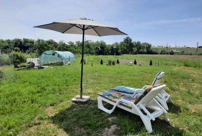 Casa cu teren 2700 mp la 22 km de Oradea - 4