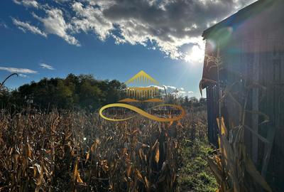 Casă individuală cu 4 camere cu Canalizare în Negri - 20