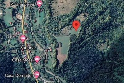 Spațiu comercial, în Sucevița - 1