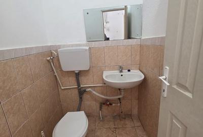 Spațiu comercial, de 130 mp, în Radu Negru - 5